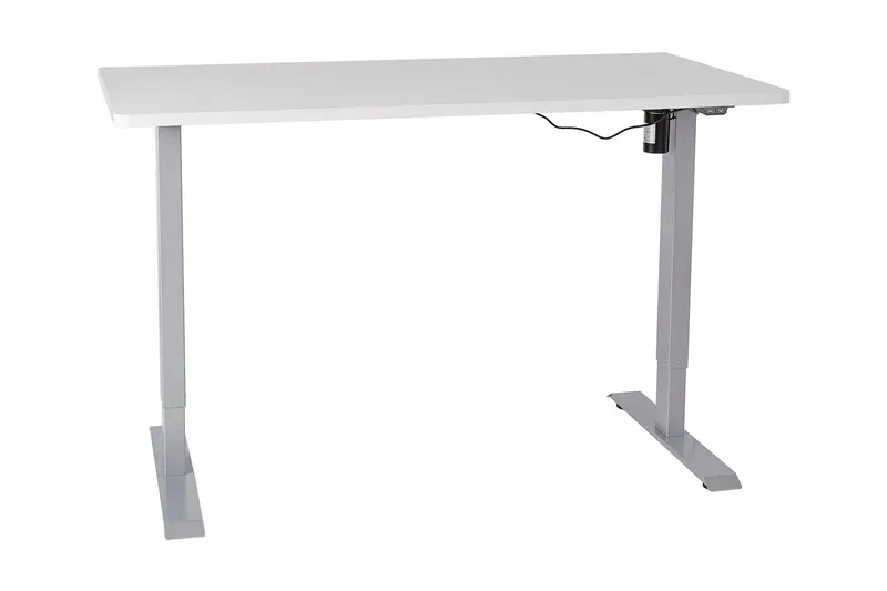 Ergosum Skrivbord 140 cm Höj-och Sänkbar - Grå/Vit — Grå/Vit