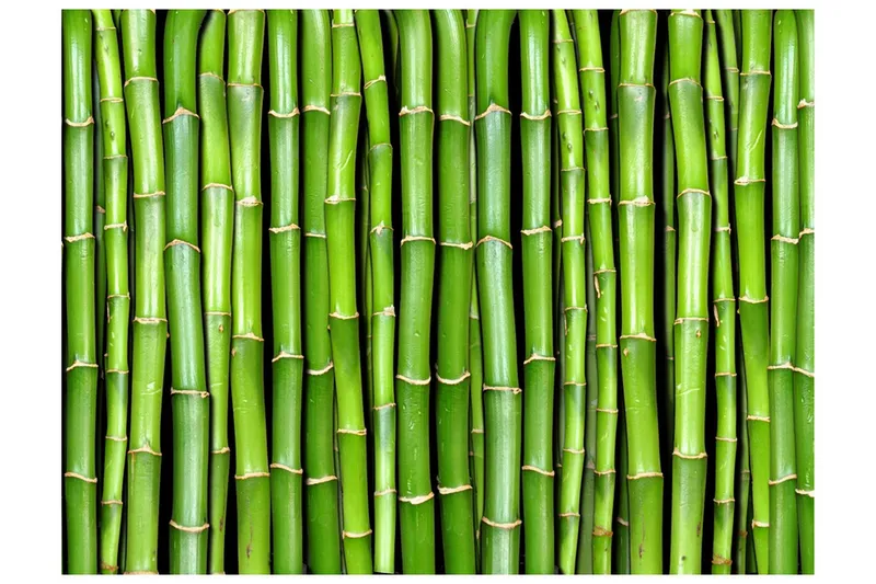 Fototapet Bamboo Wall 200x154 - Artgeist sp. z o. o. — Artgeist sp. z o. o.