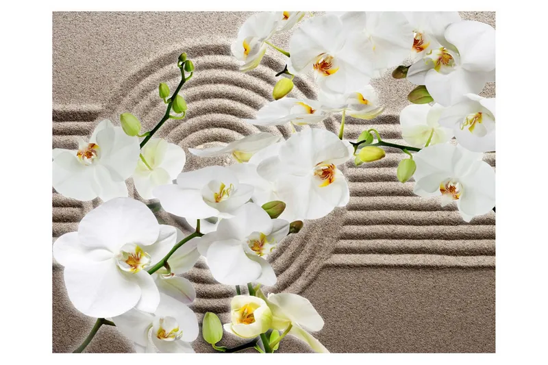 Fototapet Beautiful Zen Garden 250x193 - Artgeist sp. z o. o. — Artgeist sp. z o. o.