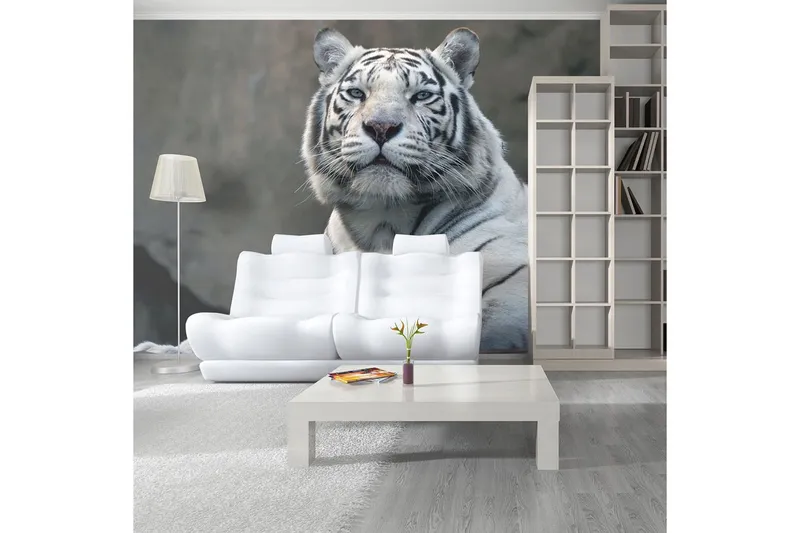 Fototapet Bengali Tiger Zoo 350x270 - Artgeist sp. z o. o. — Artgeist sp. z o. o.
