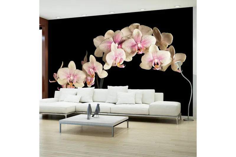Fototapet Blooming Orchid 450x270 - Artgeist sp. z o. o. — Artgeist sp. z o. o.