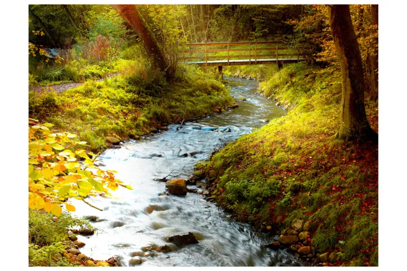 Fototapet Brook Sunrise 300x231 - Artgeist sp. z o. o. — Artgeist sp. z o. o.