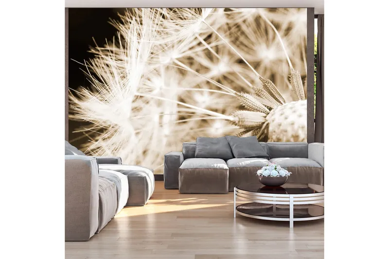 Fototapet Dandelion Sepia 100x70 - Artgeist sp. z o. o. — Artgeist sp. z o. o.