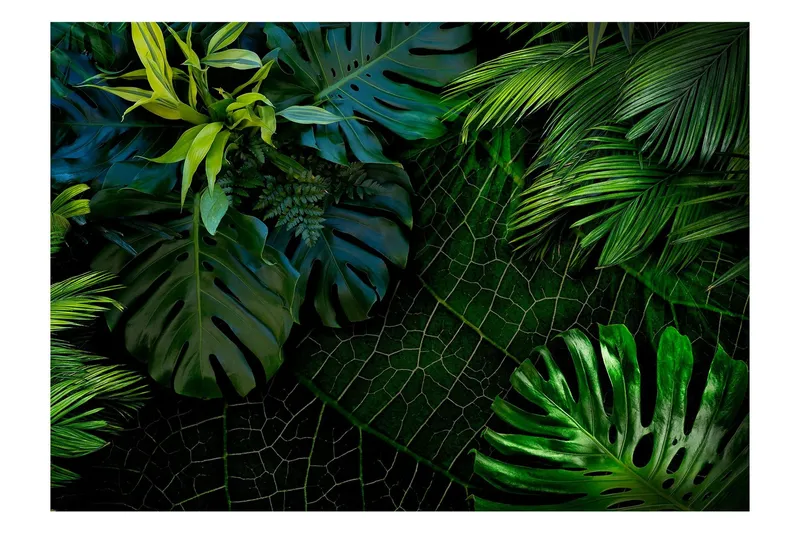 Fototapet Dark Jungle 300x210 - Artgeist sp. z o. o. — Artgeist sp. z o. o.