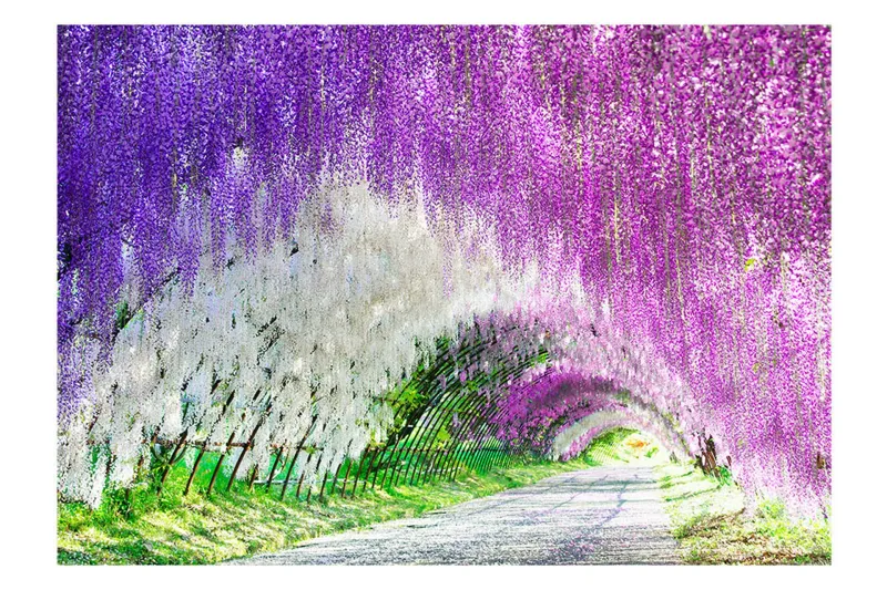Fototapet Enchanted Garden 400x280 - Artgeist sp. z o. o. — Artgeist sp. z o. o.
