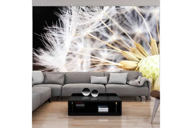 Fototapet Fluffy Dandelion 150x105 - Artgeist sp. z o. o. — Artgeist sp. z o. o.