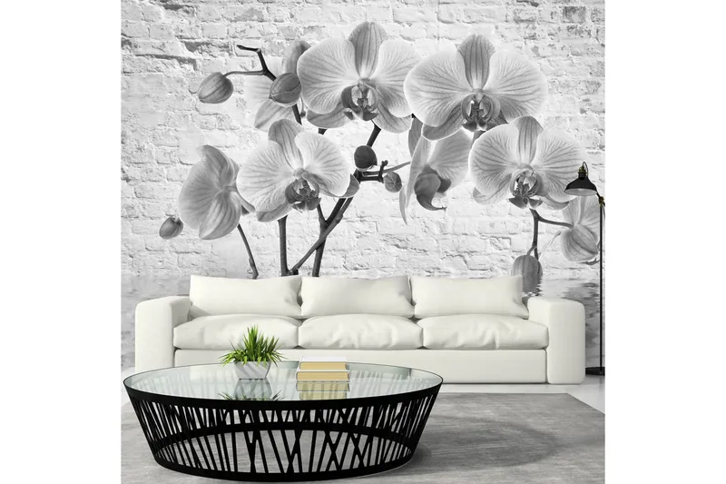 Fototapet Orchid In Shades Of Gray 300x210 - Artgeist sp. z o. o. — Artgeist sp. z o. o.
