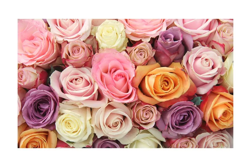 Fototapet Pastel Roses 450x270 - Artgeist sp. z o. o. — Artgeist sp. z o. o.