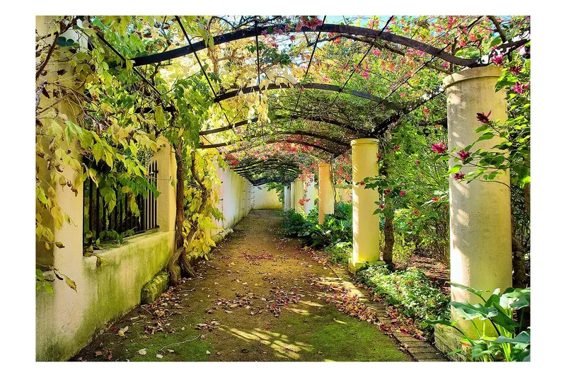 Fototapet Pergola 150x105 - Artgeist sp. z o. o. — Artgeist sp. z o. o.