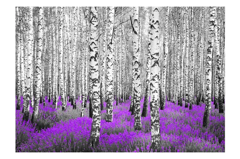 Fototapet Purple Asylum 350x245 - Artgeist sp. z o. o. — Artgeist sp. z o. o.