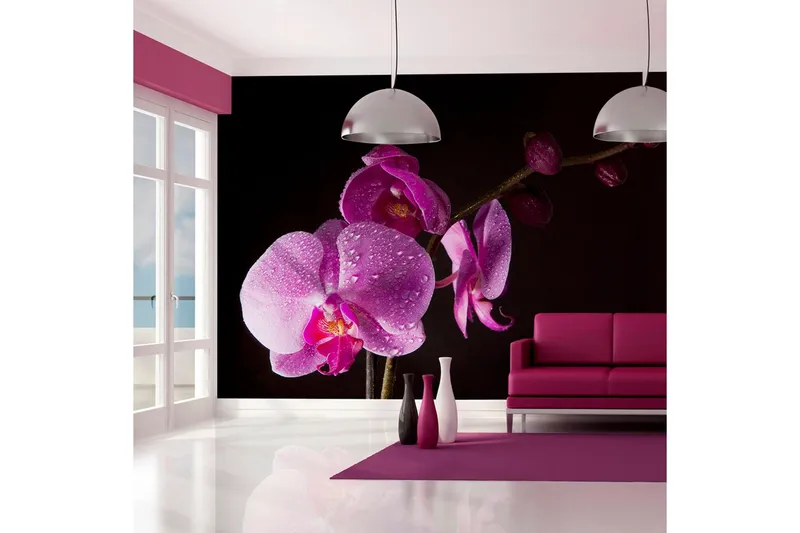 Fototapet Stylish Orchids 350x270 - Artgeist sp. z o. o. — Artgeist sp. z o. o.