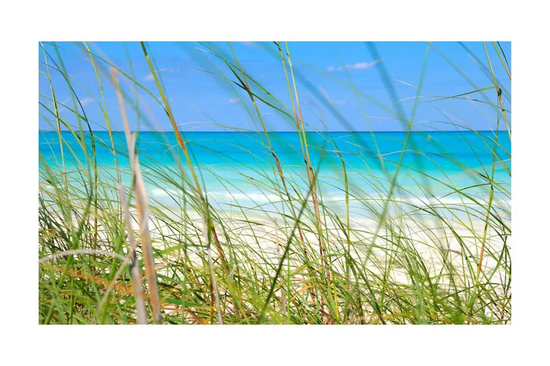 Fototapet Tropical Journey 450x270 - Artgeist sp. z o. o. — Artgeist sp. z o. o.