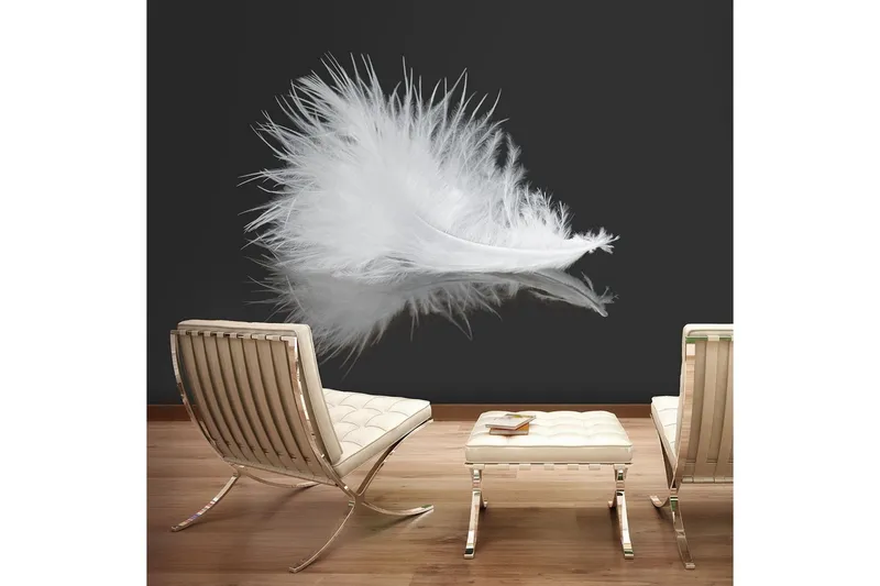 Fototapet White Feather 350x270 - Artgeist sp. z o. o. — Artgeist sp. z o. o.
