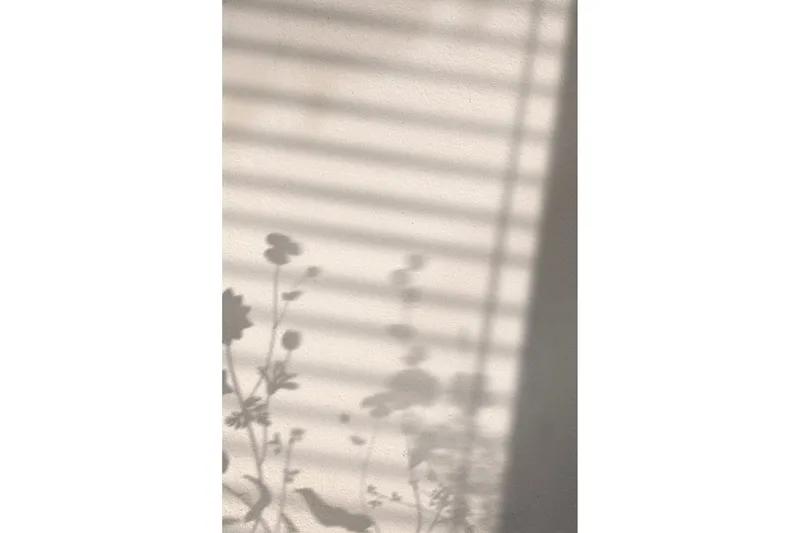 Poster Flower Shadow 30x40 cm - Vit — Venture Home