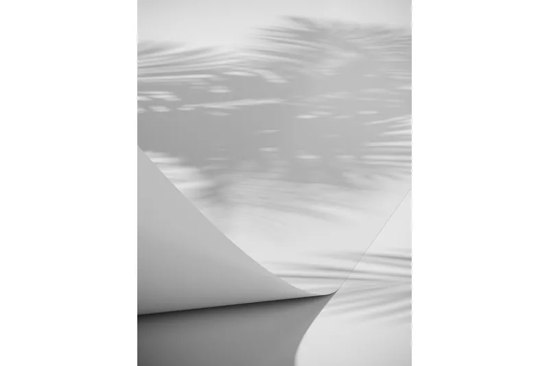Poster Papyrus 21x30 cm - Vit — Venture Home