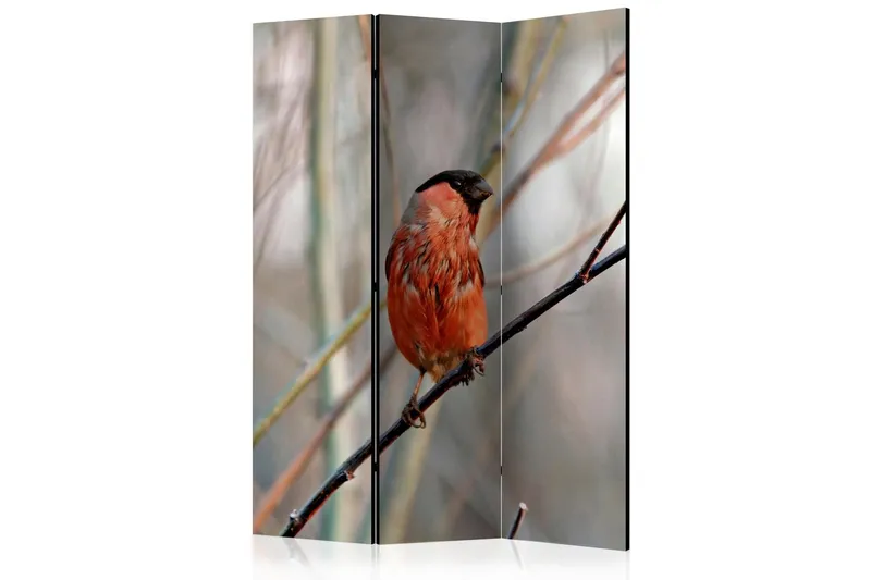 Rumsavdelare - Bullfinch in the forest 135x172 - Artgeist sp. z o. o. — Artgeist sp. z o. o.
