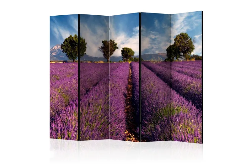 Rumsavdelare Lavender Field in Provence 225x172 cm - Artgeist sp. z o. o. — Artgeist sp. z o. o.