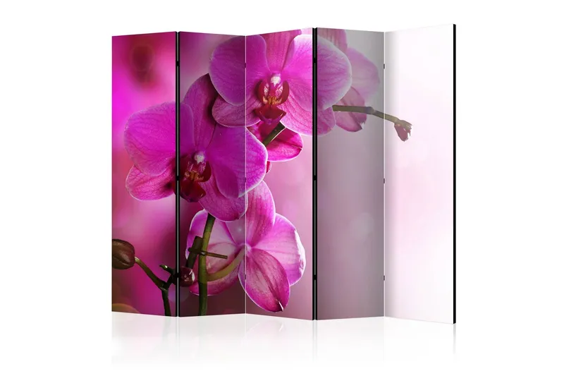 Rumsavdelare - Pink orchid II 225x172 - Artgeist sp. z o. o. — Artgeist sp. z o. o.