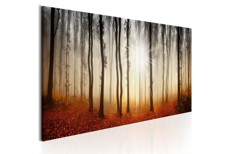 Tavla Autumnal Fog 120x40 - Artgeist sp. z o. o. — Artgeist sp. z o. o.