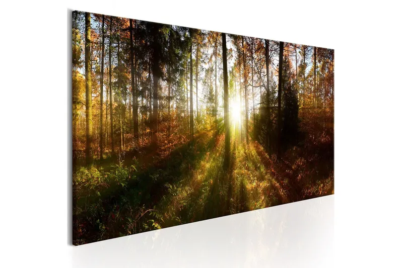 Tavla Beautiful Forest 120x40 - Artgeist sp. z o. o. — Artgeist sp. z o. o.