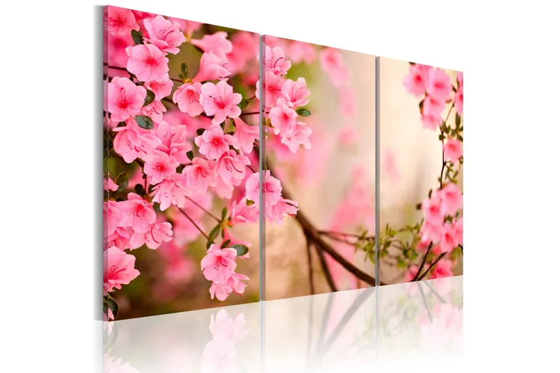Tavla Cherry Flower 60x40 - Artgeist sp. z o. o. — Artgeist sp. z o. o.