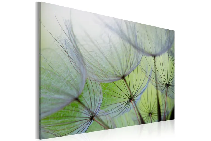 Tavla Dandelion In The Wind 60x40 - Artgeist sp. z o. o. — Artgeist sp. z o. o.