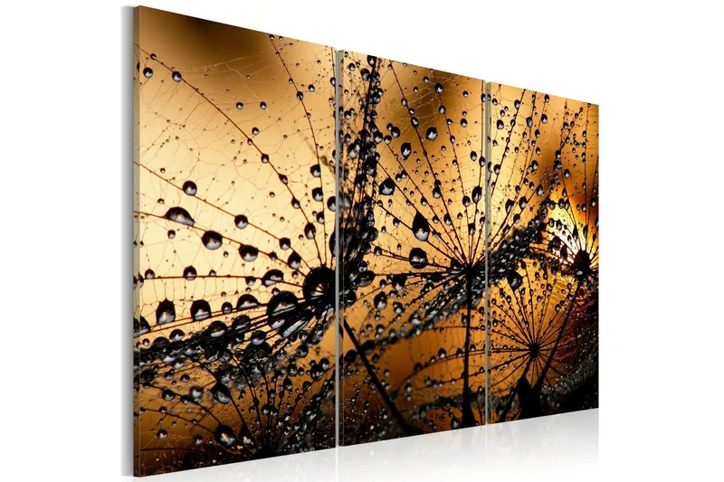 Tavla Dandelions And Dew 120x80 - Artgeist sp. z o. o. — Artgeist sp. z o. o.