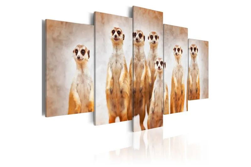 Tavla Family Of Meerkats 100x50 - Artgeist sp. z o. o. — Artgeist sp. z o. o.