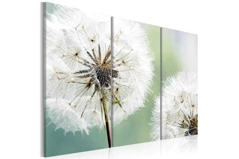 Tavla Fluffy Dandelions 60x40 - Artgeist sp. z o. o. — Artgeist sp. z o. o.
