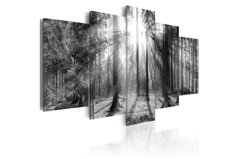 Tavla Forest Of Memories 100x50 - Artgeist sp. z o. o. — Artgeist sp. z o. o.