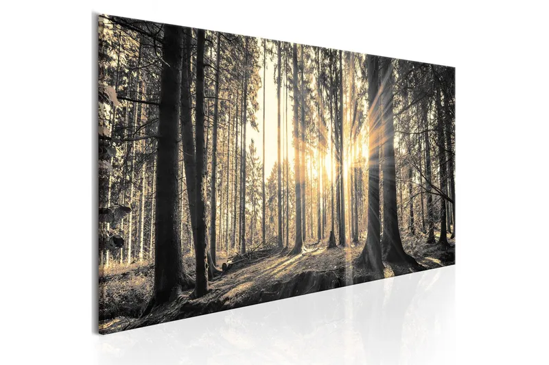 Tavla Forest Sun 120x40 - Artgeist sp. z o. o. — Artgeist sp. z o. o.