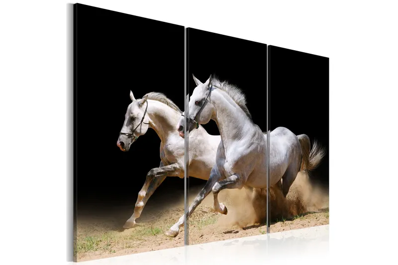 Tavla Horses- Power And Velocity 120x80 - Artgeist sp. z o. o. — Artgeist sp. z o. o.
