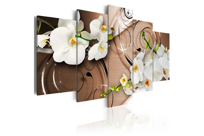 Tavla Ivory Orchids 100x50 - Artgeist sp. z o. o. — Artgeist sp. z o. o.