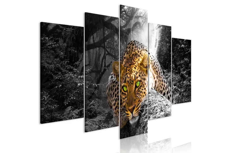 Tavla Leopard Lying 5 Parts Wide Grey 100x50 - Artgeist sp. z o. o. — Artgeist sp. z o. o.