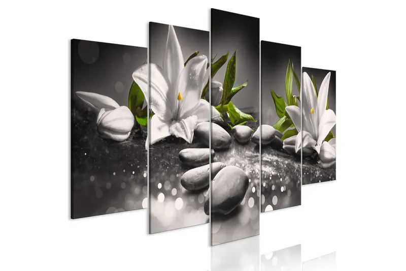 Tavla Lilies And Stones 5 Parts Wide Grey 100x50 - Artgeist sp. z o. o. — Artgeist sp. z o. o.