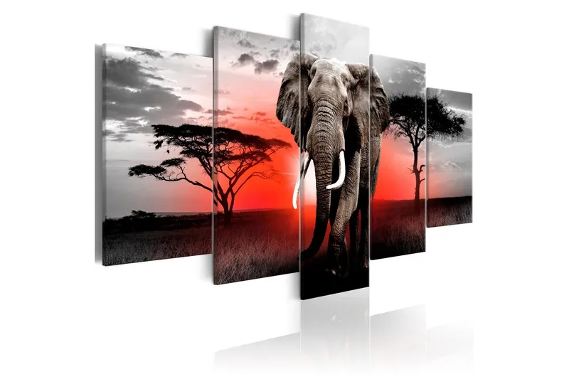 Tavla Lonely Elephant 200x100 - Artgeist sp. z o. o. — Artgeist sp. z o. o.