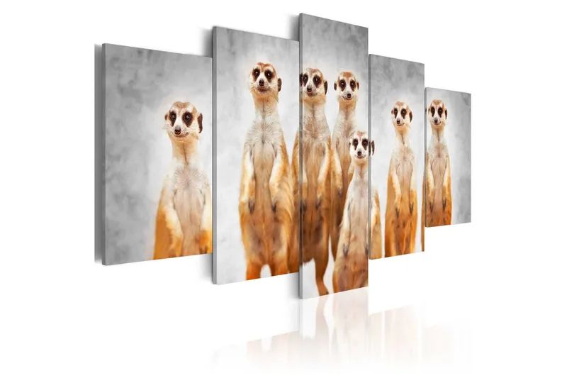 Tavla Meerkats 200x100 - Artgeist sp. z o. o. — Artgeist sp. z o. o.