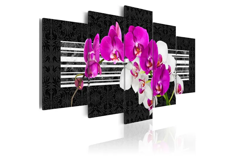 Tavla Modest Orchids 200x100 - Artgeist sp. z o. o. — Artgeist sp. z o. o.