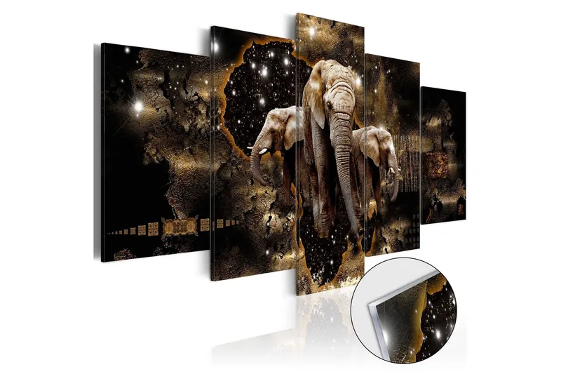 Tavla På Akryl Brown Elephants 100x50 - Artgeist sp. z o. o. — Artgeist sp. z o. o.