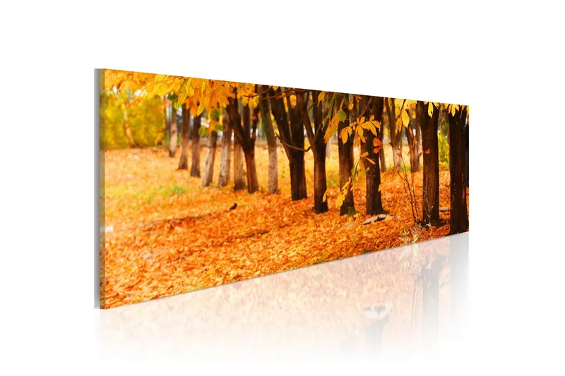 Tavla Park Covered With Golden Leaves 120x40 - Artgeist sp. z o. o. — Artgeist sp. z o. o.
