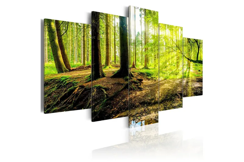 Tavla Poetry Of A Forest 100x50 - Artgeist sp. z o. o. — Artgeist sp. z o. o.
