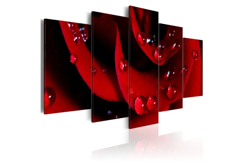 Tavla Rose With Dew 200x100 - Artgeist sp. z o. o. — Artgeist sp. z o. o.