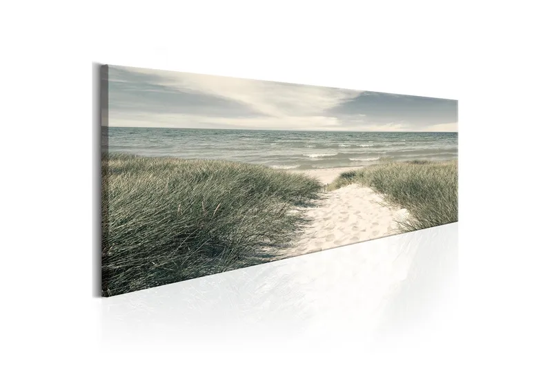 Tavla Secrets of the Sea 135x45 - Artgeist sp. z o. o. — Artgeist sp. z o. o.