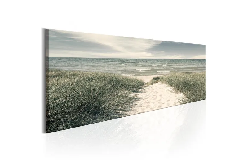 Tavla Secrets Of The Sea 150x50 - Artgeist sp. z o. o. — Artgeist sp. z o. o.