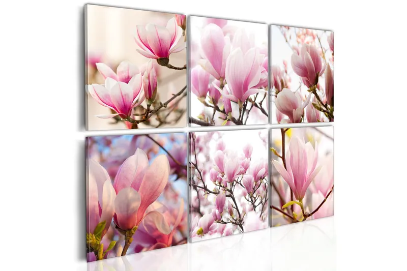 Tavla Southern Magnolias 120x80 - Artgeist sp. z o. o. — Artgeist sp. z o. o.