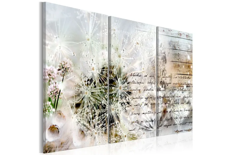 Tavla Starry Dandelions 90x60 - Artgeist sp. z o. o. (Art.nr 323558) — Artgeist sp. z o. o.