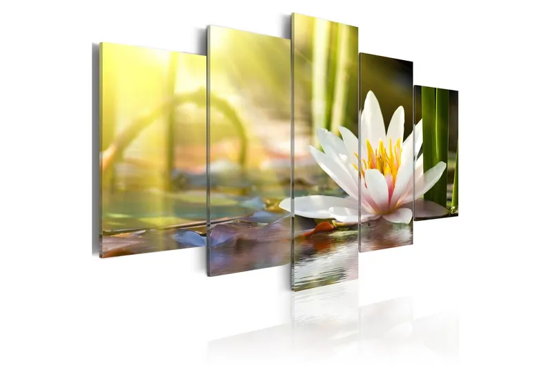 Tavla Sunny Lotus 100x50 - Artgeist sp. z o. o. — Artgeist sp. z o. o.