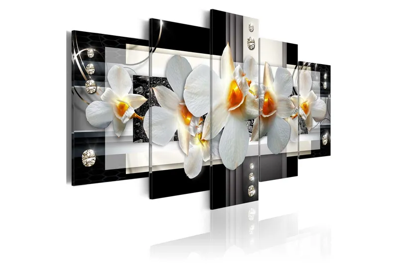 Tavla Sunny Orchids 100x50 - Artgeist sp. z o. o. — Artgeist sp. z o. o.