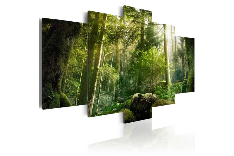 Tavla The Beauty Of The Forest 100x50 - Artgeist sp. z o. o. — Artgeist sp. z o. o.