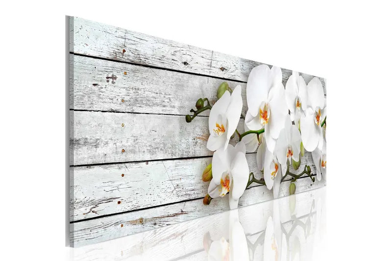 Tavla White Dreams 150x50 - Artgeist sp. z o. o. — Artgeist sp. z o. o.